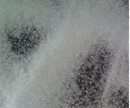 ĴƳ  ֦ƹӦ 13608020331